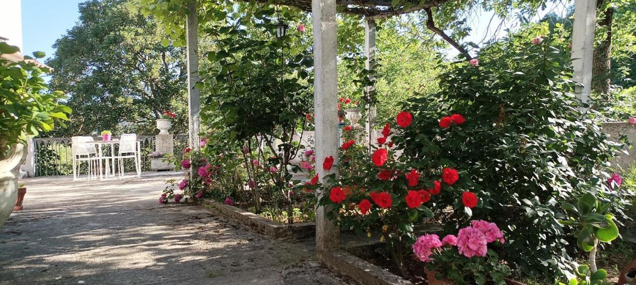 Casavacanze La Vigna Arenabianca Exterior foto